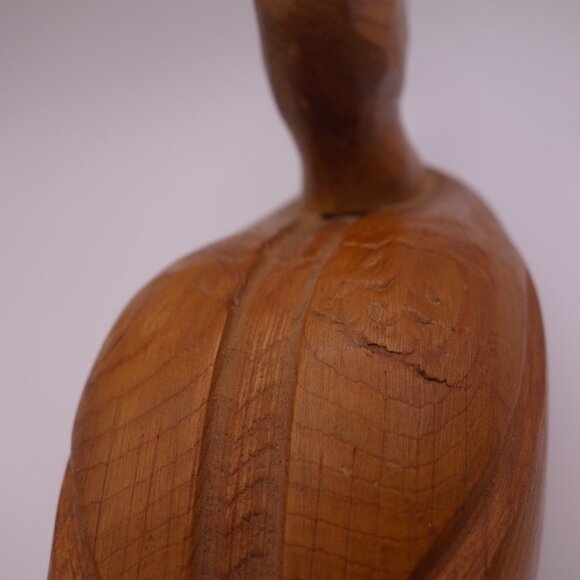 Wood Duck - Picture 10 of 16